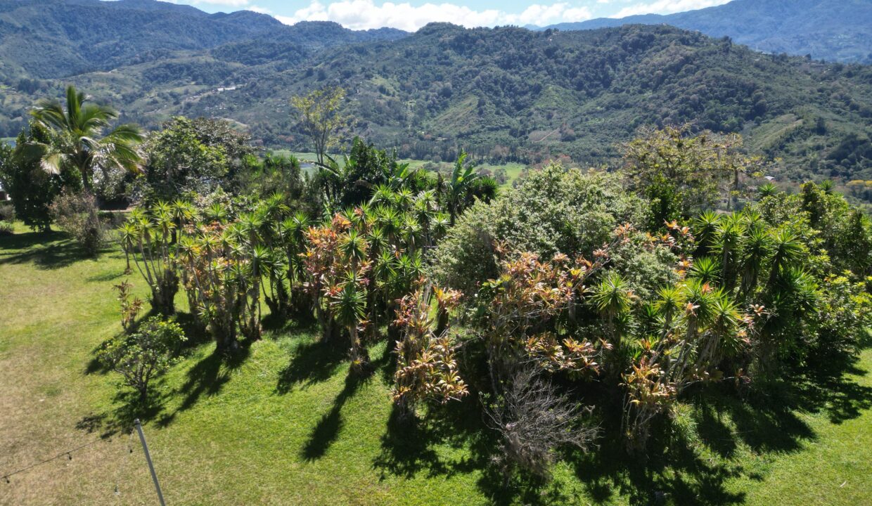 WhatsApp Image 2026-01-28 at 08.54.20 (1)