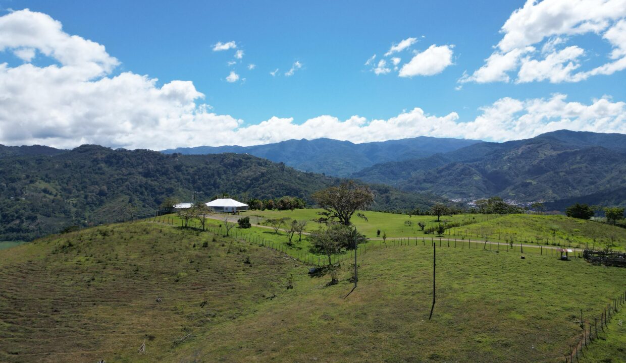 WhatsApp Image 2026-01-28 at 08.54.21