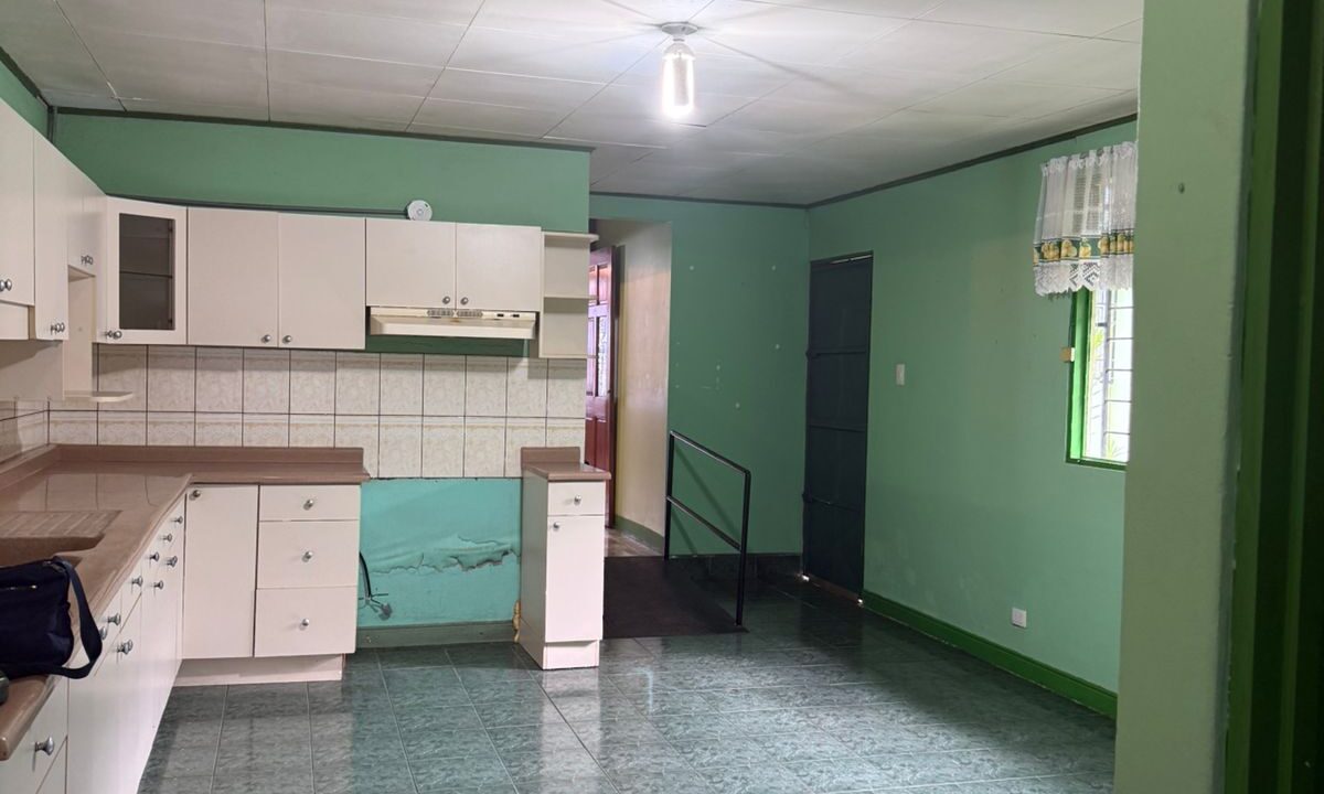 WhatsApp Image 2026-02-11 at 11.55.00