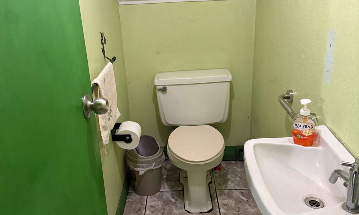 WhatsApp Image 2026-02-11 at 11.55.02