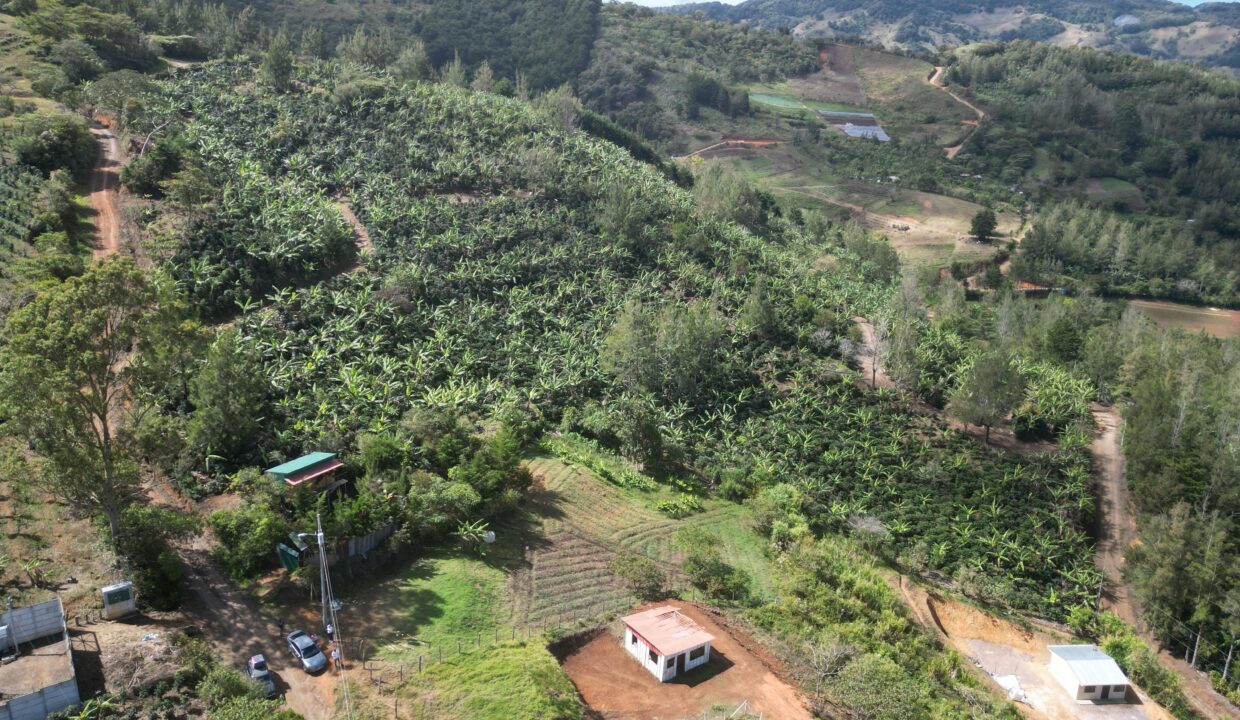 WhatsApp Image 2026-02-11 at 13.47.58 (1)