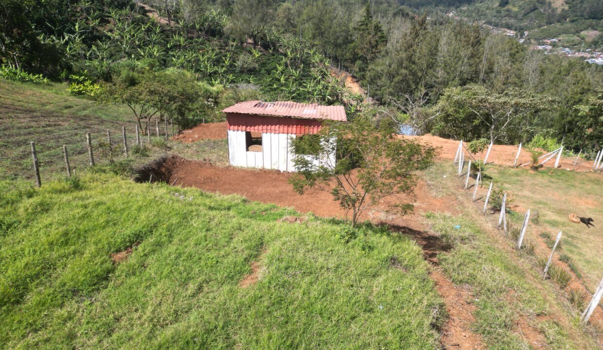 WhatsApp Image 2026-02-11 at 13.47.58