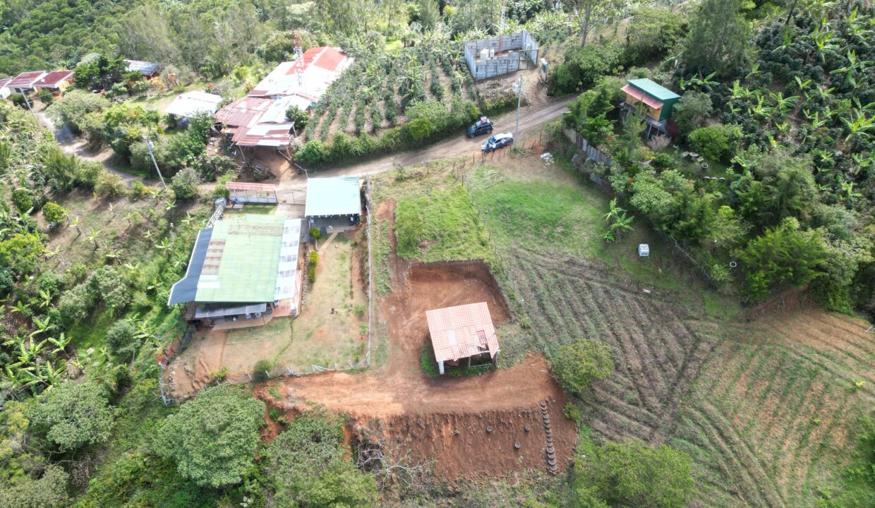 WhatsApp Image 2026-02-11 at 13.47.58 (7)