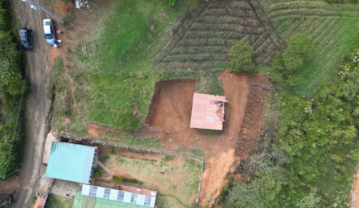 WhatsApp Image 2026-02-11 at 13.47.58 (8)