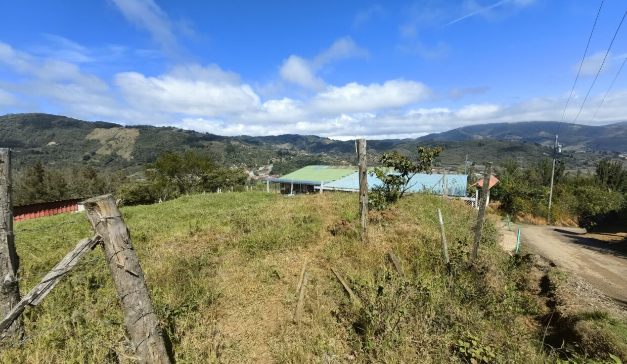 WhatsApp Image 2026-02-11 at 18.38.19