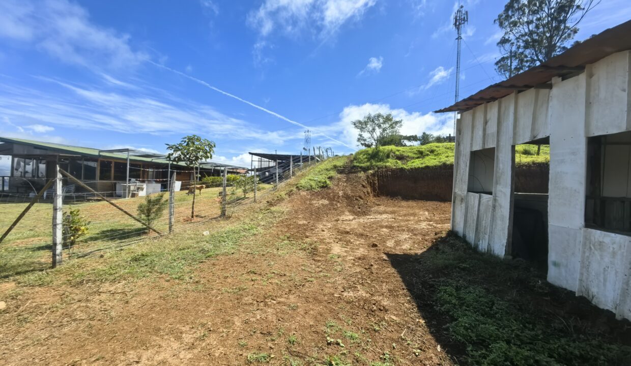 WhatsApp Image 2026-02-11 at 18.38.19 (2)