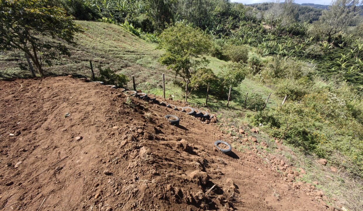 WhatsApp Image 2026-02-11 at 18.38.21