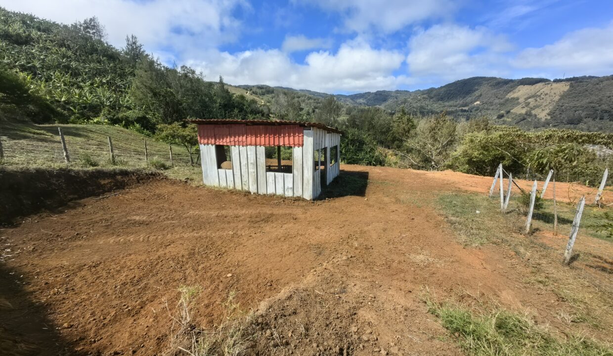 WhatsApp Image 2026-02-11 at 18.38.24 (1)