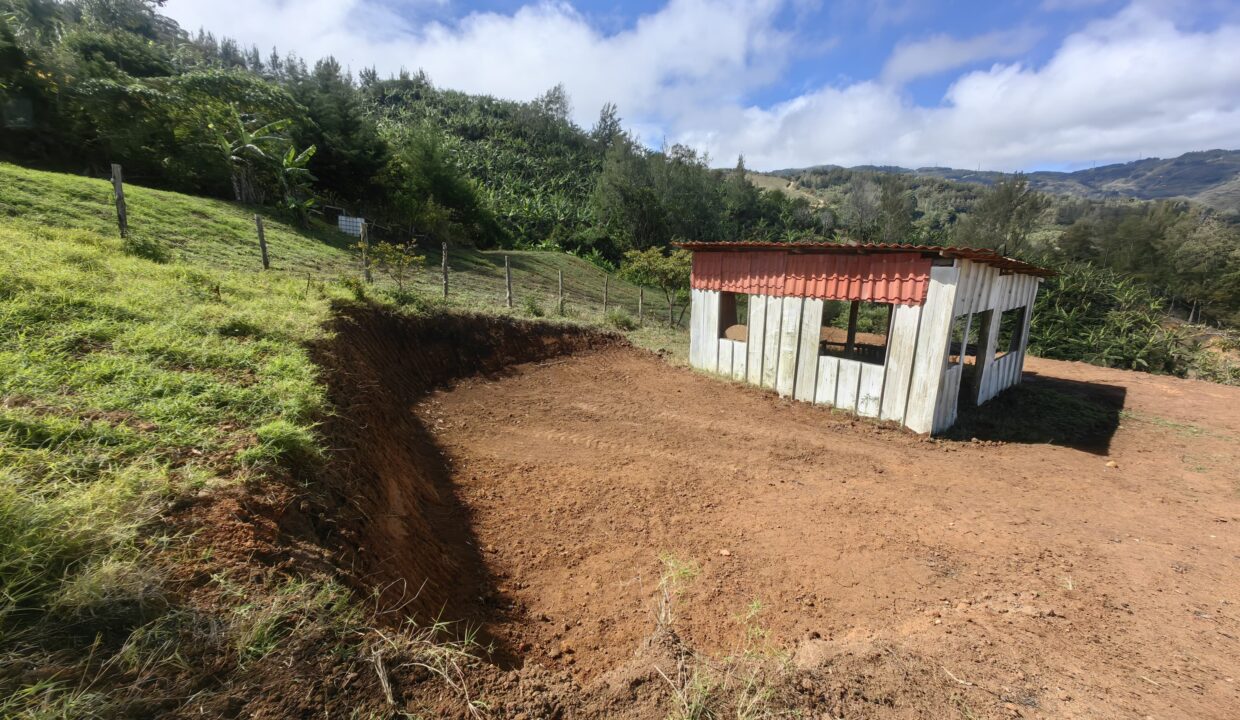 WhatsApp Image 2026-02-11 at 18.38.25