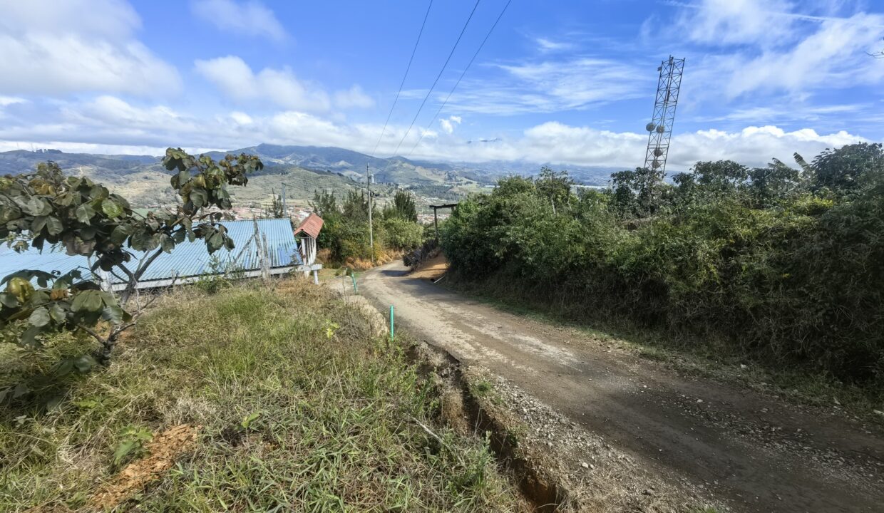 WhatsApp Image 2026-02-11 at 18.38.25 (3)