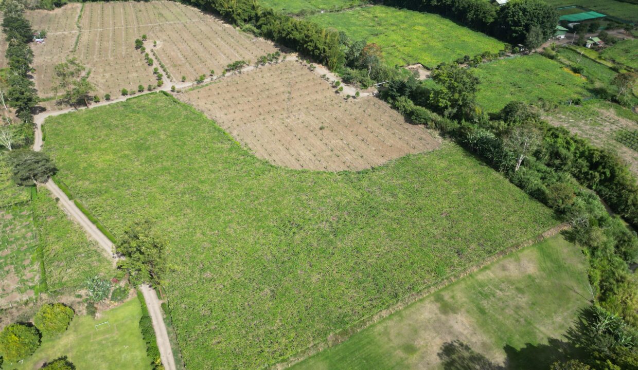 WhatsApp Image 2026-02-18 at 15.25.15 (1)