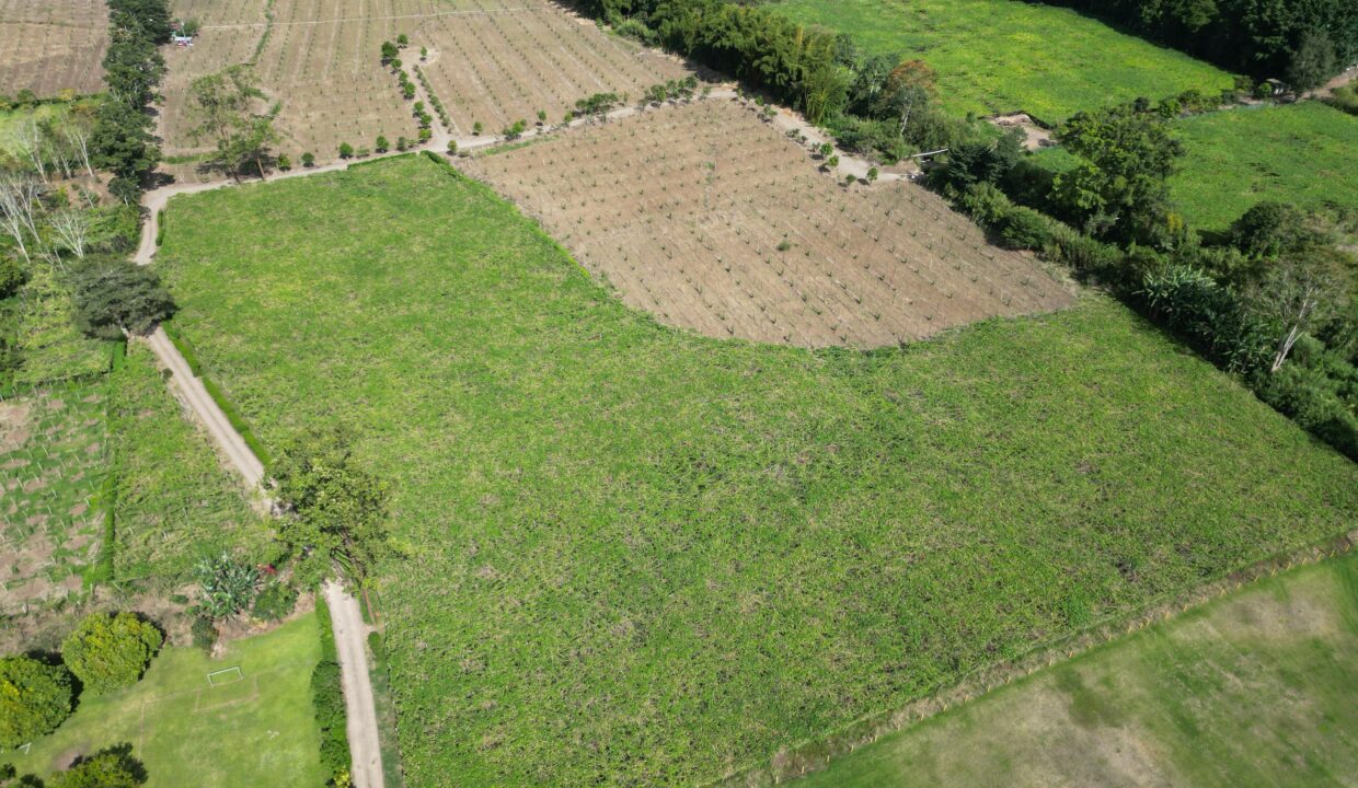 WhatsApp Image 2026-02-18 at 15.25.15