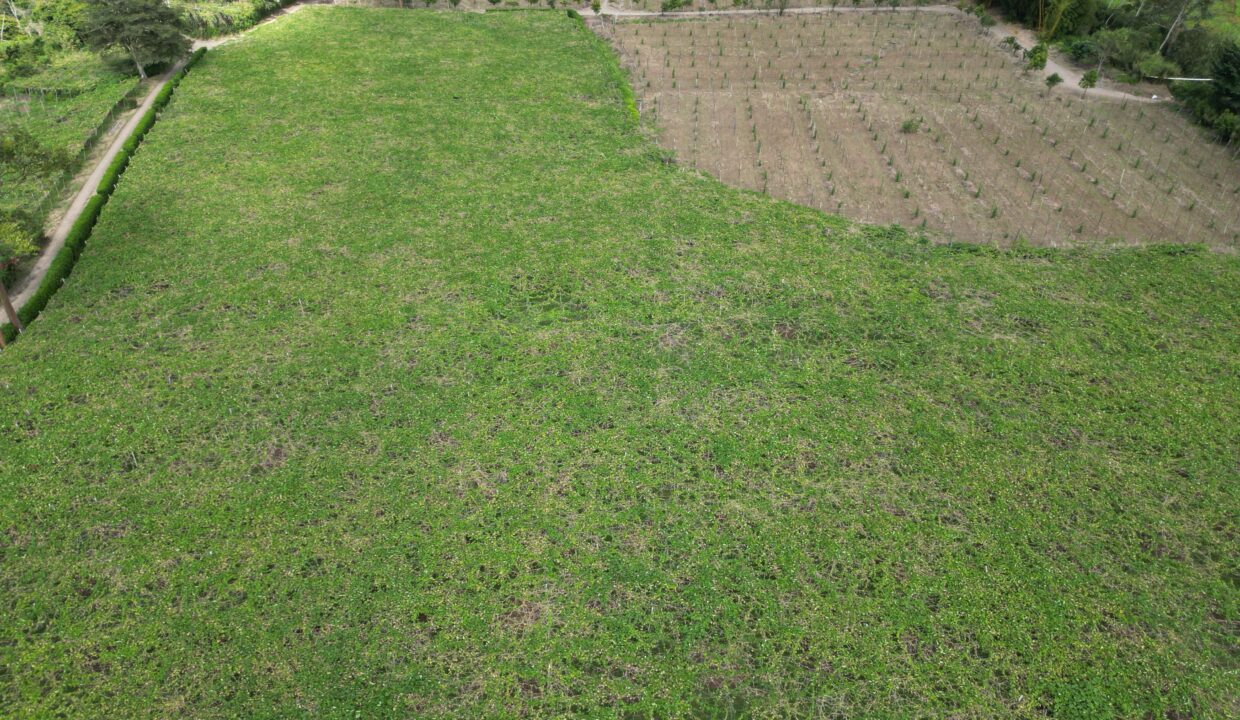 WhatsApp Image 2026-02-18 at 15.25.15 (3)