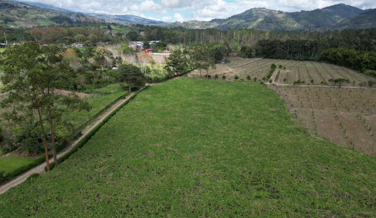 WhatsApp Image 2026-02-18 at 15.25.18