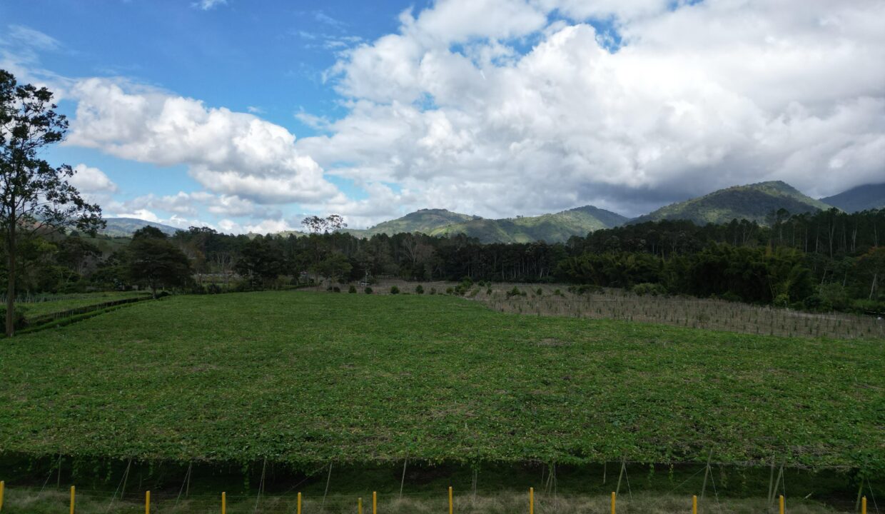 WhatsApp Image 2026-02-18 at 15.25.30 (1)