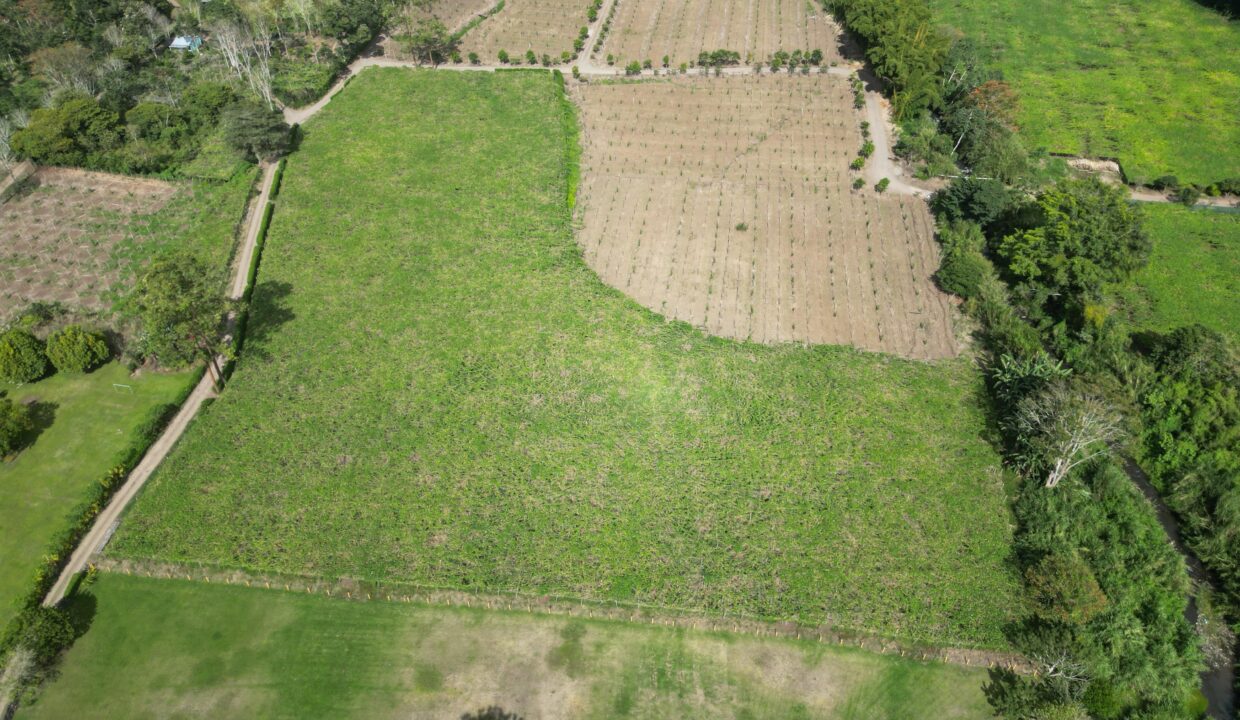 WhatsApp Image 2026-02-18 at 15.25.30