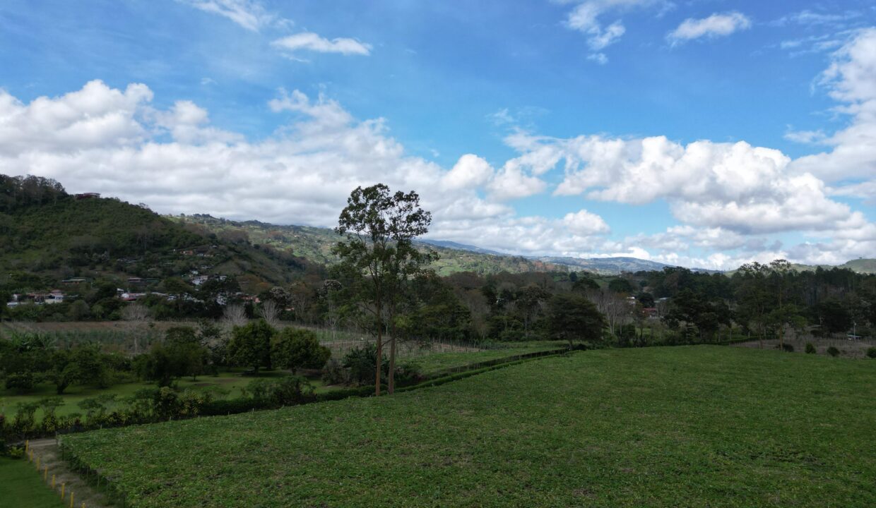 WhatsApp Image 2026-02-18 at 15.25.30 (4)