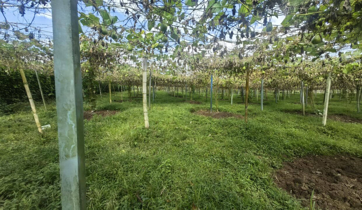 WhatsApp Image 2026-02-18 at 16.10.44