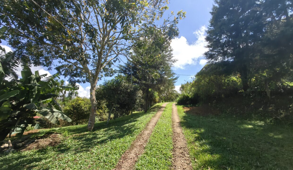 WhatsApp Image 2026-02-23 at 16.01.50