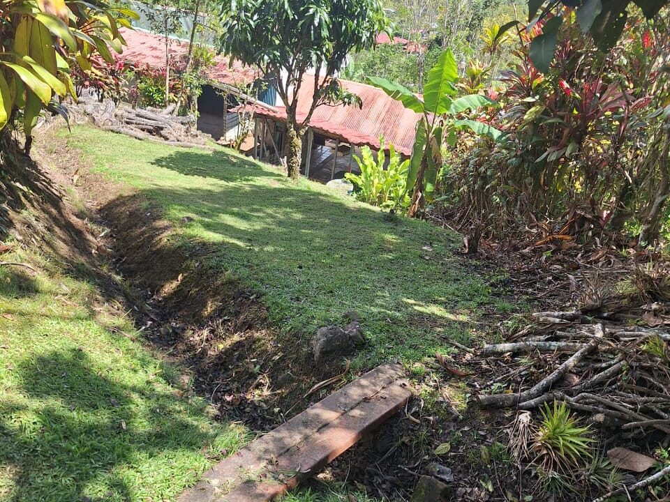 WhatsApp Image 2026-02-25 at 13.35.46 (1)