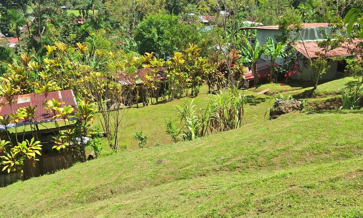 WhatsApp Image 2026-02-25 at 13.35.48 (1)