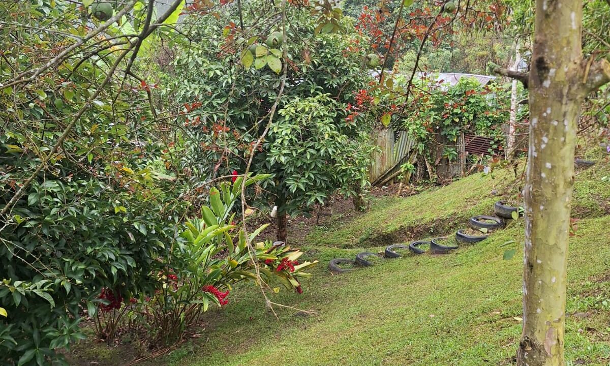 WhatsApp Image 2026-02-25 at 13.37.27 (1)