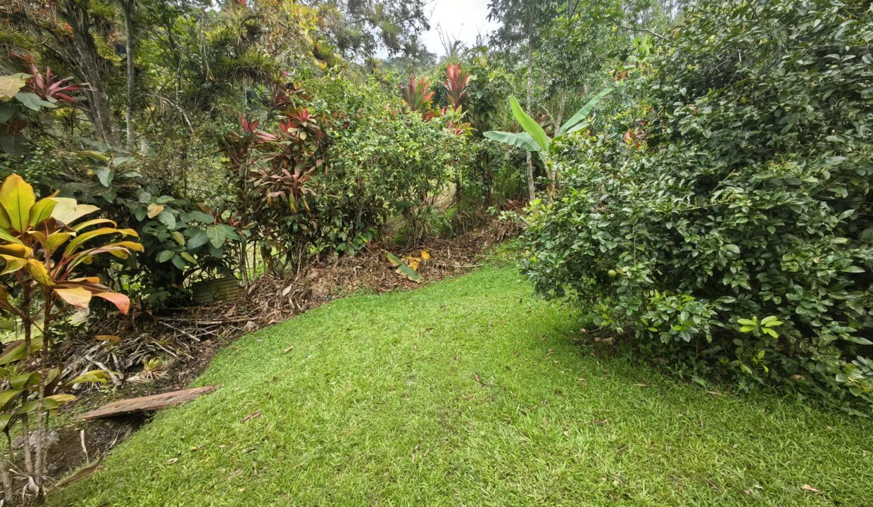 WhatsApp Image 2026-02-25 at 14.30.36