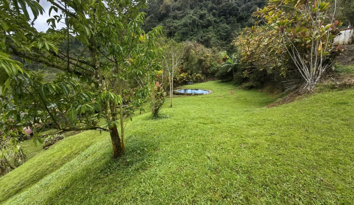 WhatsApp Image 2026-02-25 at 14.31.07