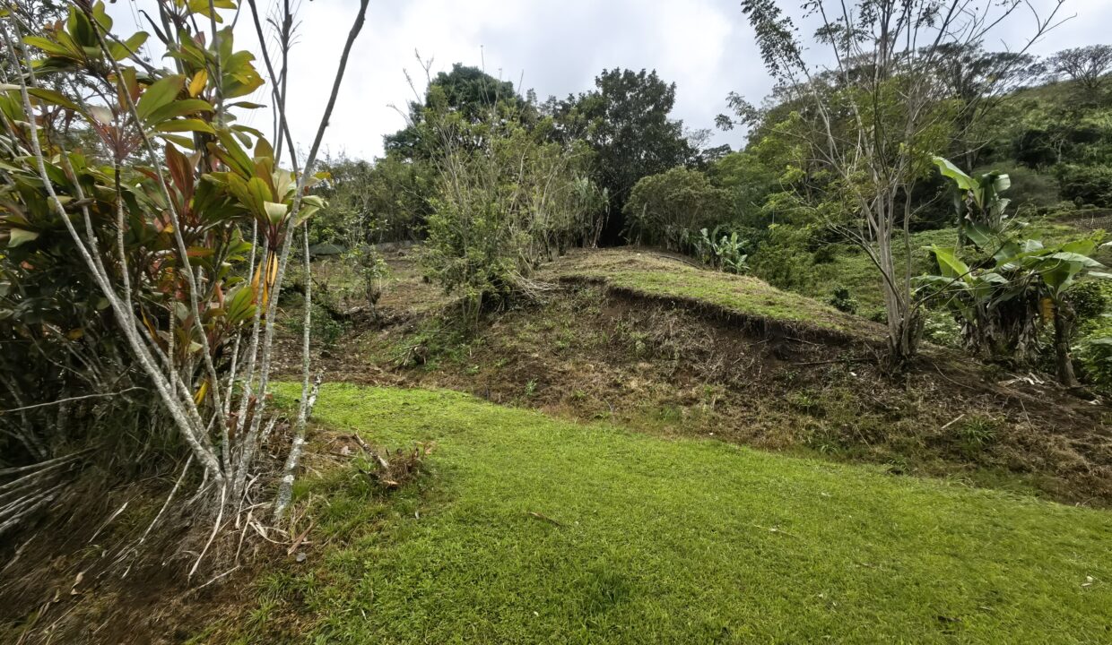 WhatsApp Image 2026-02-25 at 14.31.08 (1)