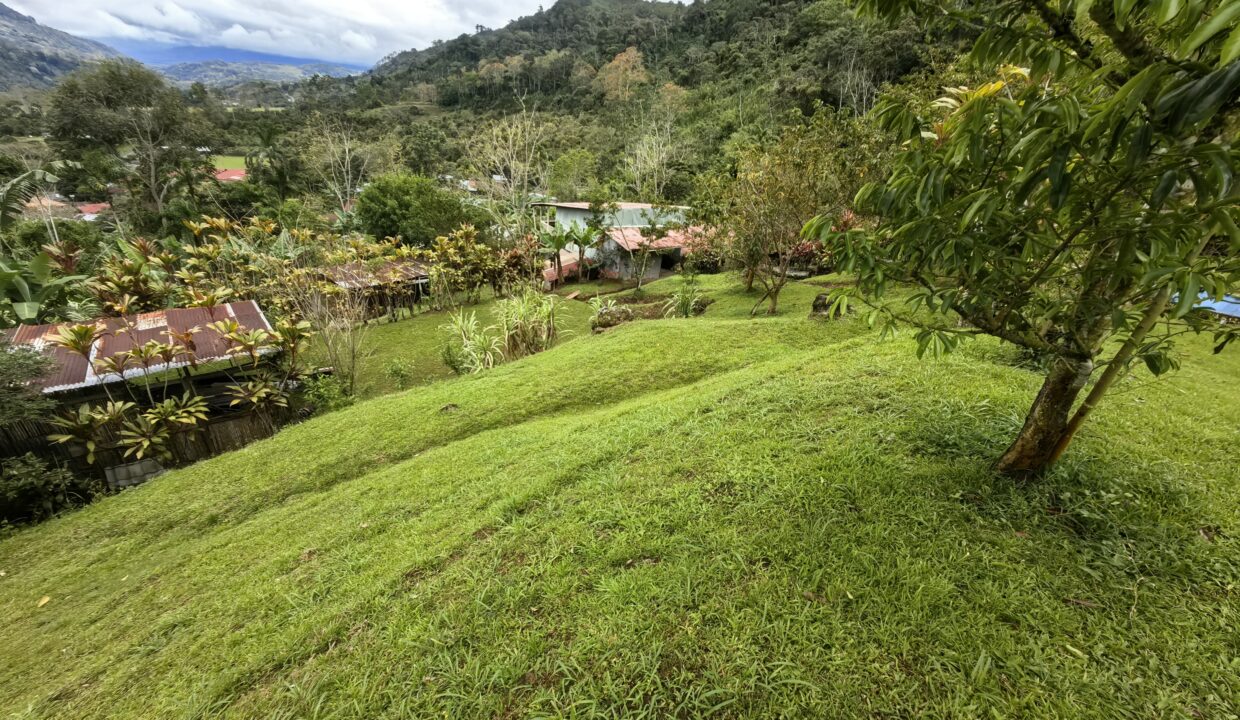 WhatsApp Image 2026-02-25 at 14.31.08