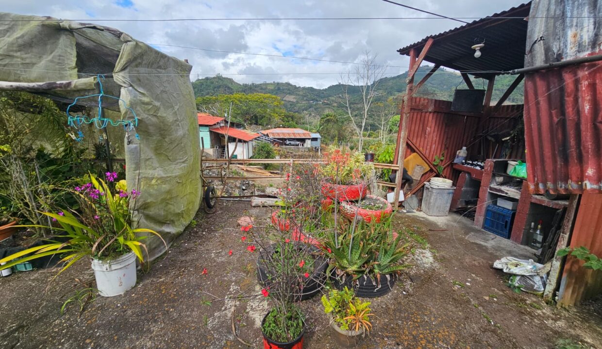 WhatsApp Image 2026-03-02 at 10.07.43 (4)