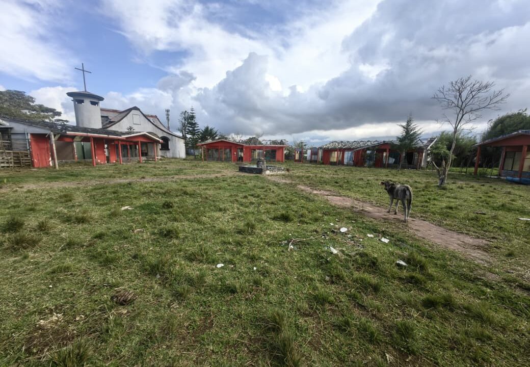 WhatsApp Image 2026-03-06 at 11.27.25 (1)