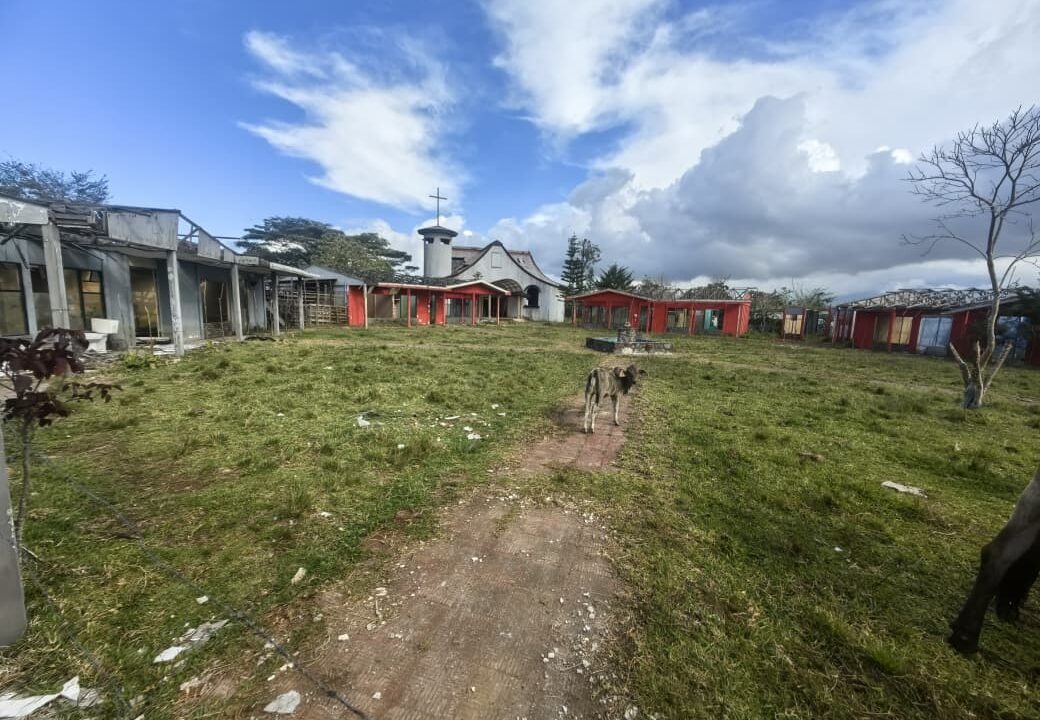 WhatsApp Image 2026-03-06 at 11.27.27 (1)