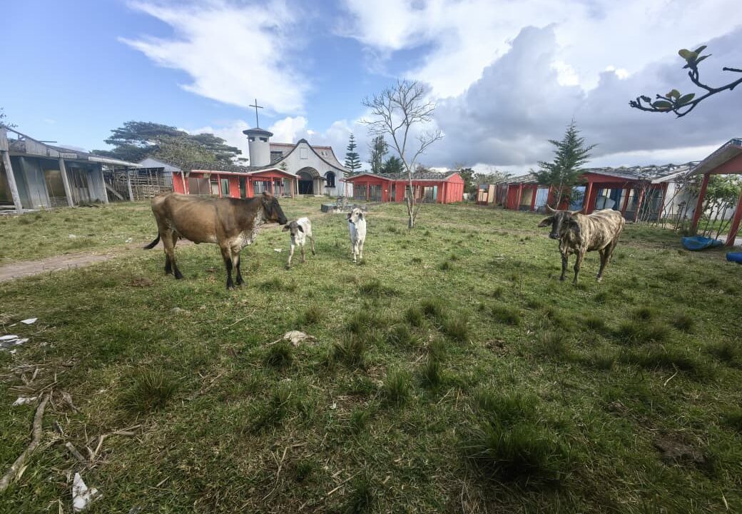 WhatsApp Image 2026-03-06 at 11.27.27 (2)