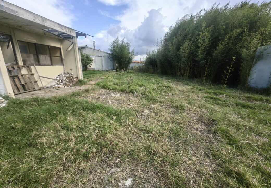 WhatsApp Image 2026-03-06 at 11.27.28