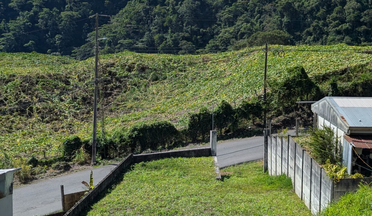 WhatsApp Image 2026-03-09 at 18.10.22 (5)