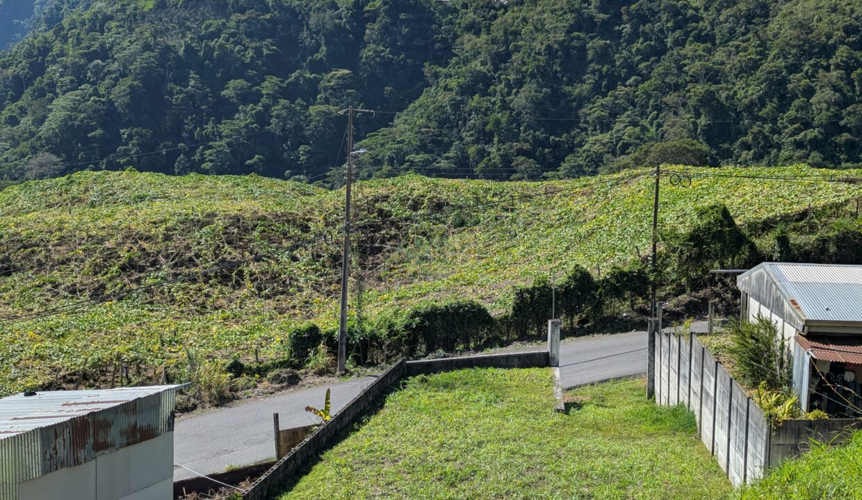 WhatsApp Image 2026-03-09 at 18.10.23 (1)