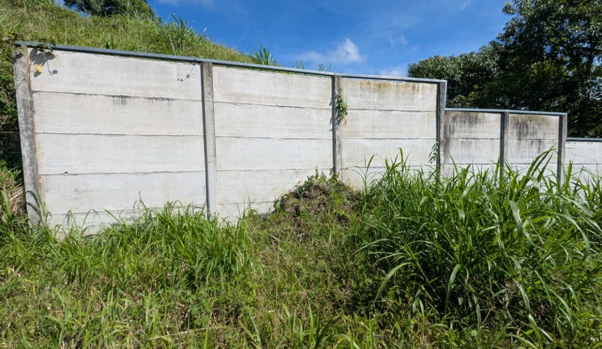 WhatsApp Image 2026-03-09 at 18.10.26 (4)