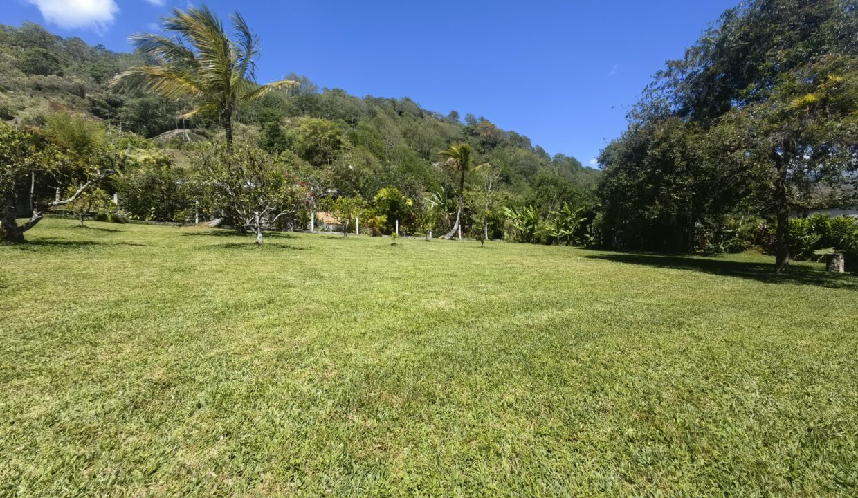 WhatsApp Image 2026-03-13 at 13.28.53