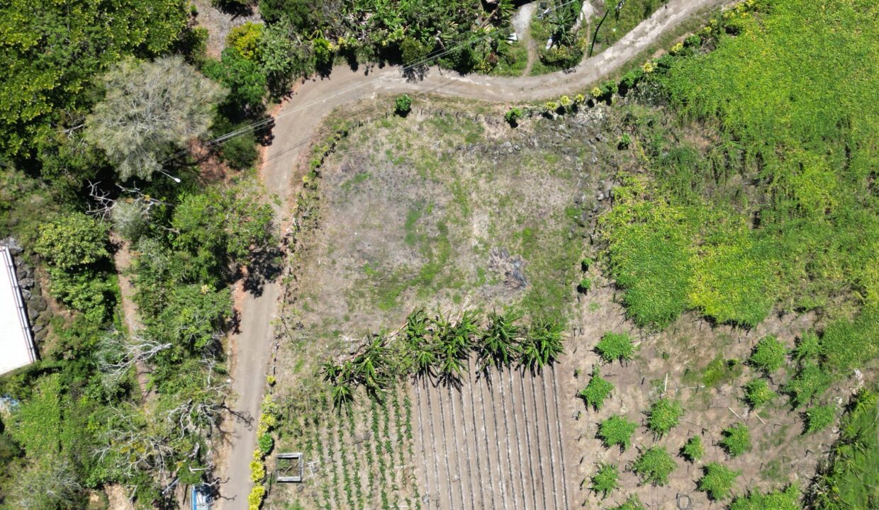 WhatsApp Image 2026-03-13 at 14.00.30 (1)