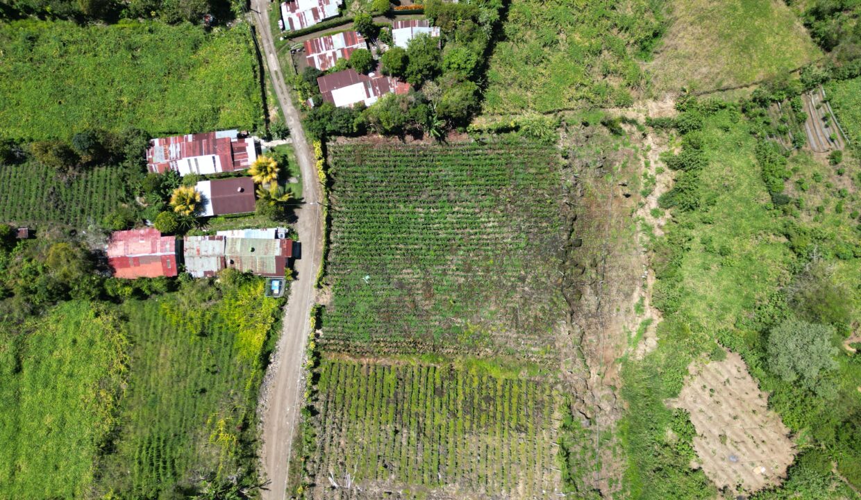 WhatsApp Image 2026-03-13 at 14.00.30