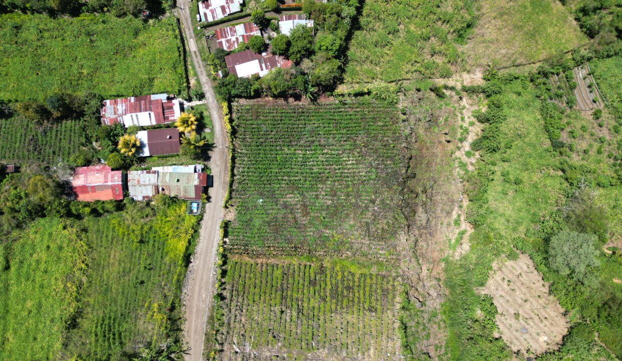 WhatsApp Image 2026-03-13 at 14.00.30 (3)