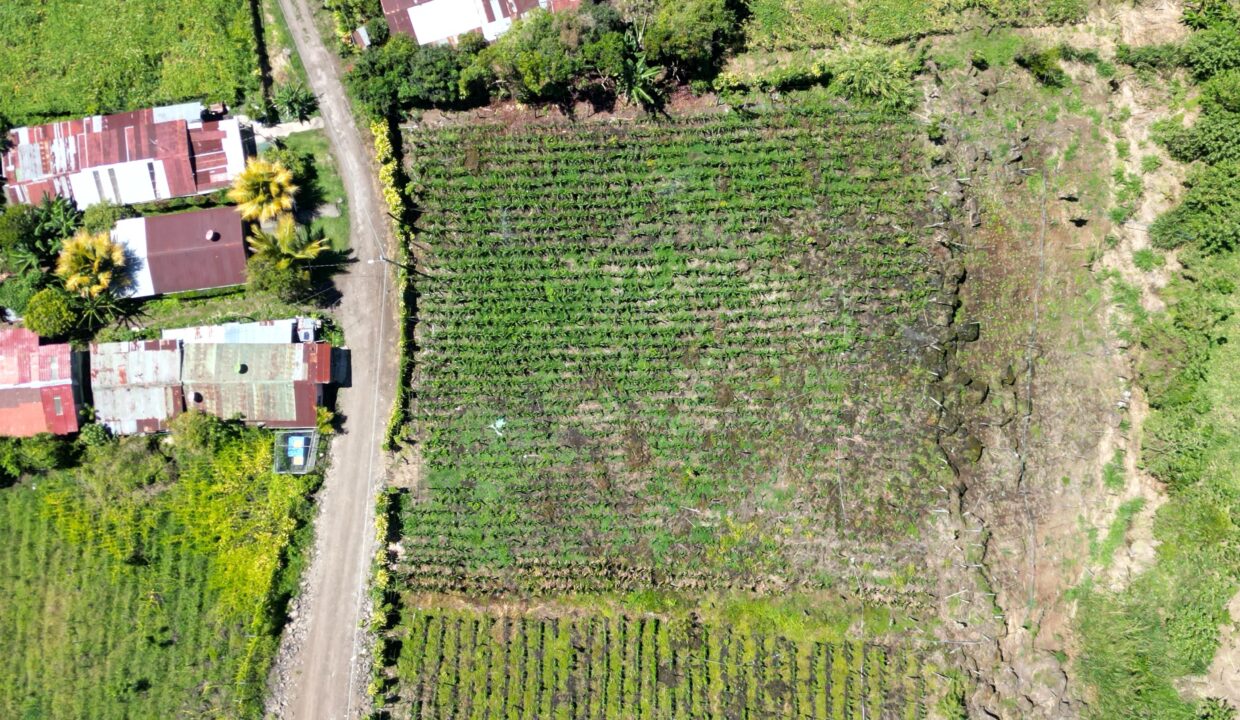 WhatsApp Image 2026-03-13 at 14.00.30 (4)