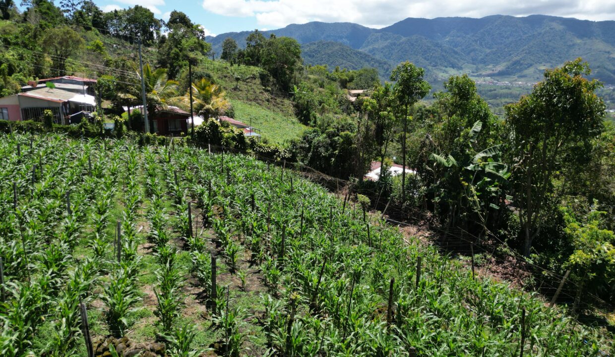 WhatsApp Image 2026-03-13 at 14.00.31 (11)