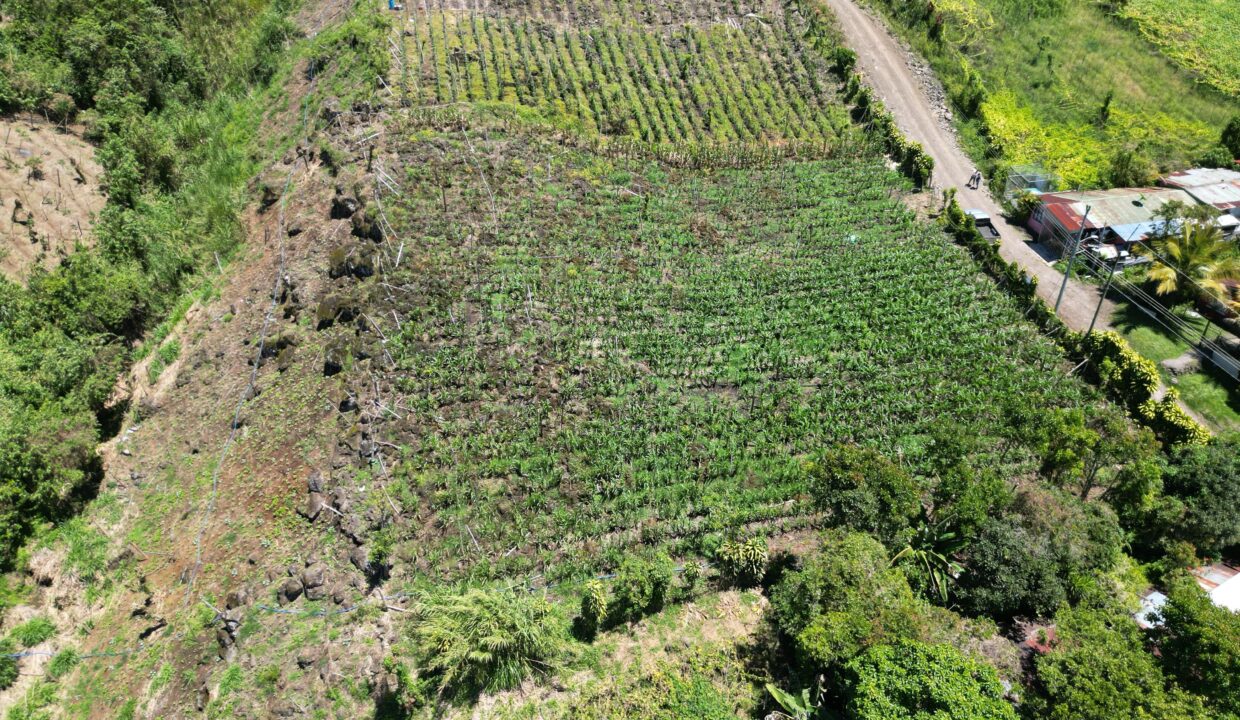 WhatsApp Image 2026-03-13 at 14.00.31 (14)