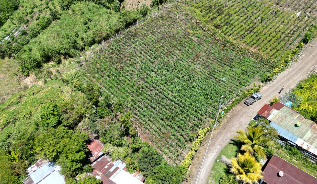 WhatsApp Image 2026-03-13 at 14.00.31 (16)