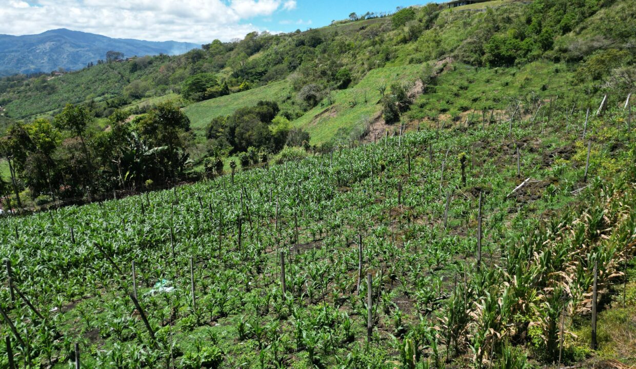 WhatsApp Image 2026-03-13 at 14.00.31 (17)