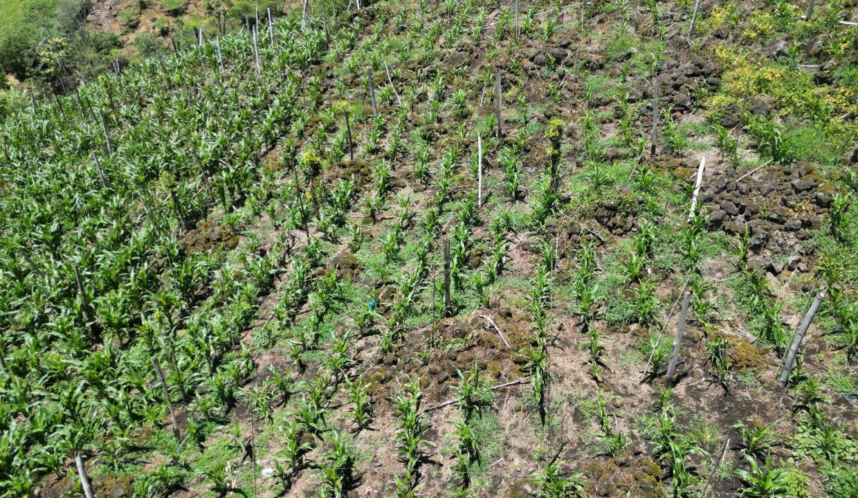 WhatsApp Image 2026-03-13 at 14.00.31 (19)