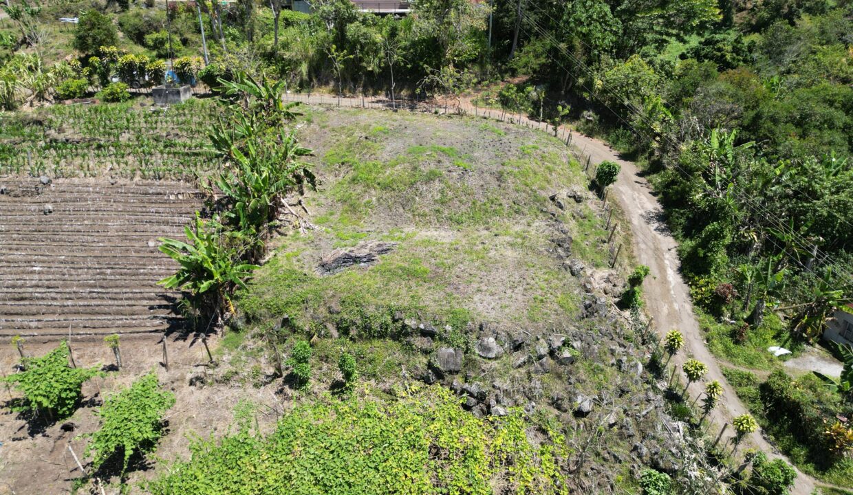 WhatsApp Image 2026-03-13 at 14.00.31 (4)