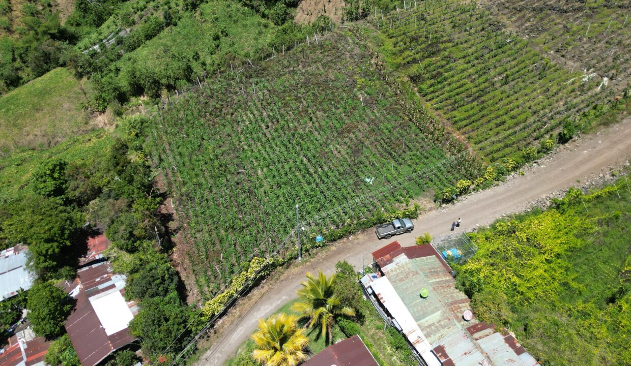 WhatsApp Image 2026-03-13 at 14.00.31 (5)